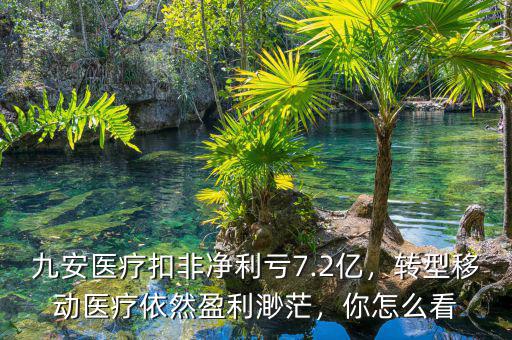 九安醫(yī)療扣非凈利虧7.2億，轉型移動醫(yī)療依然盈利渺茫，你怎么看