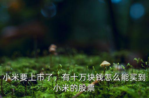 小米要上市了，有十萬(wàn)塊錢怎么能買到小米的股票