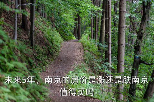 未來5年，南京的房價是漲還是跌南京值得買嗎
