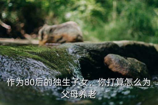 作為80后的獨(dú)生子女，你打算怎么為父母養(yǎng)老