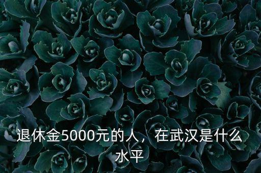 退休金5000元的人，在武漢是什么水平
