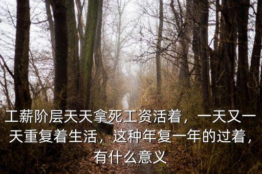 工薪階層天天拿死工資活著，一天又一天重復(fù)著生活，這種年復(fù)一年的過(guò)著，有什么意義
