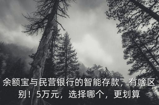 余額寶與民營銀行的智能存款，有啥區(qū)別！5萬元，選擇哪個(gè)，更劃算