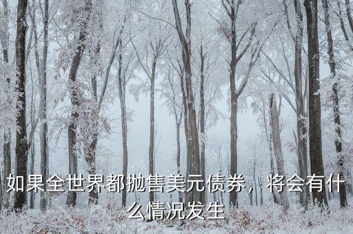 如果全世界都拋售美元債券，將會(huì)有什么情況發(fā)生