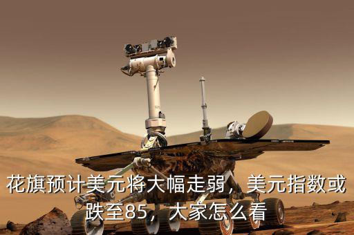 花旗預(yù)計美元將大幅走弱，美元指數(shù)或跌至85，大家怎么看