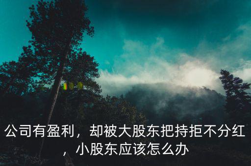 公司有盈利，卻被大股東把持拒不分紅，小股東應(yīng)該怎么辦