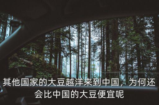 其他國家的大豆越洋來到中國，為何還會比中國的大豆便宜呢