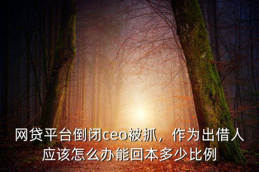 網(wǎng)貸平臺倒閉ceo被抓，作為出借人應(yīng)該怎么辦能回本多少比例