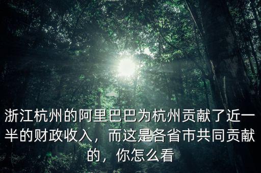 浙江杭州的阿里巴巴為杭州貢獻(xiàn)了近一半的財(cái)政收入，而這是各省市共同貢獻(xiàn)的，你怎么看