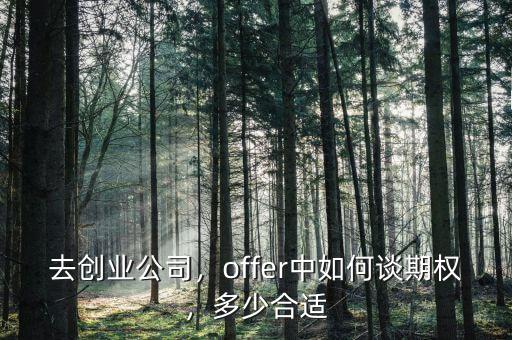 去創(chuàng)業(yè)公司，offer中如何談期權(quán)，多少合適