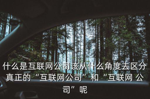 什么是互聯網公司該從什么角度去區(qū)分真正的“互聯網公司”和“互聯網 公司”呢