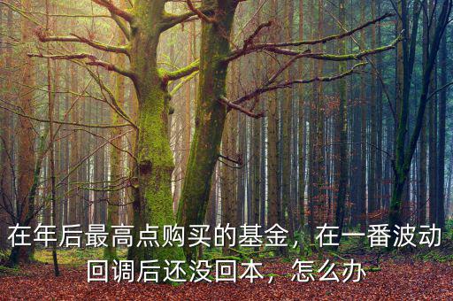 在年后最高點購買的基金，在一番波動回調后還沒回本，怎么辦