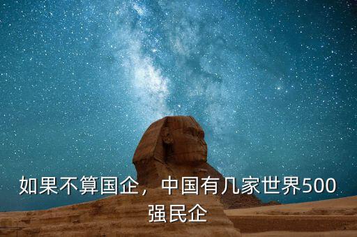 如果不算國企，中國有幾家世界500強民企