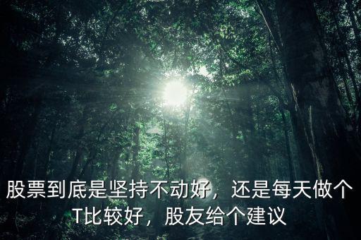 股票到底是堅(jiān)持不動好，還是每天做個T比較好，股友給個建議