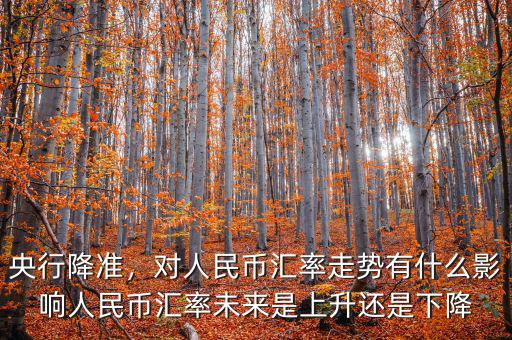 央行降準(zhǔn)，對人民幣匯率走勢有什么影響人民幣匯率未來是上升還是下降