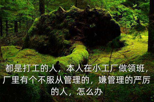 都是打工的人，本人在小工廠做領(lǐng)班，廠里有個(gè)不服從管理的，嫌管理的嚴(yán)厲的人，怎么辦