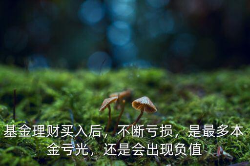 基金理財買入后，不斷虧損，是最多本金虧光，還是會出現(xiàn)負值