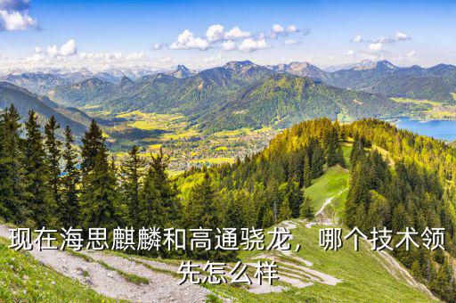 現(xiàn)在海思麒麟和高通驍龍，哪個(gè)技術(shù)領(lǐng)先怎么樣