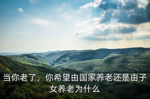 當(dāng)你老了，你希望由國家養(yǎng)老還是由子女養(yǎng)老為什么