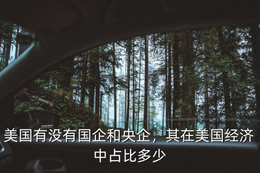 美國有沒有國企和央企，其在美國經濟中占比多少