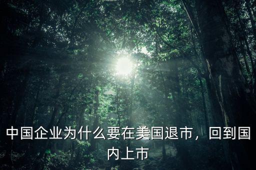 中國企業(yè)為什么要在美國退市，回到國內(nèi)上市