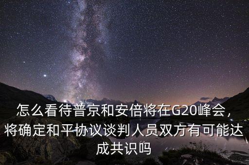 怎么看待普京和安倍將在G20峰會，將確定和平協(xié)議談判人員雙方有可能達(dá)成共識嗎