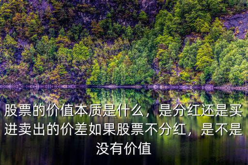 股票的價值本質(zhì)是什么，是分紅還是買進賣出的價差如果股票不分紅，是不是沒有價值