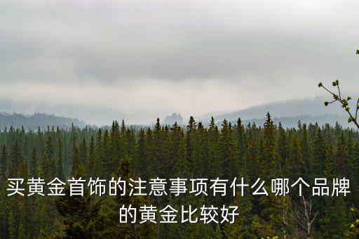 買(mǎi)黃金首飾的注意事項(xiàng)有什么哪個(gè)品牌的黃金比較好