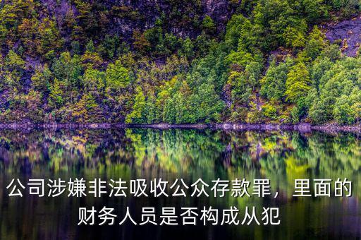 公司涉嫌非法吸收公眾存款罪，里面的財務(wù)人員是否構(gòu)成從犯