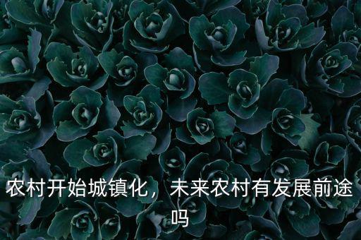 農(nóng)村開始城鎮(zhèn)化，未來農(nóng)村有發(fā)展前途嗎