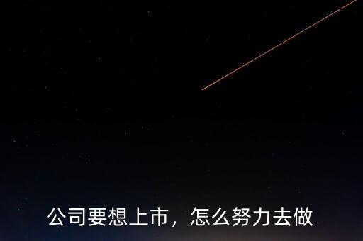公司要想上市，怎么努力去做