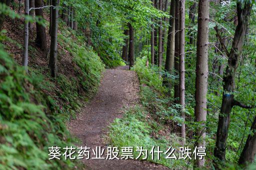 上?？ㄋ帢I(yè)處方賺多少錢,在上海投資開藥店要多少錢