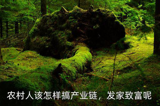農(nóng)村人該怎樣搞產(chǎn)業(yè)鏈，發(fā)家致富呢