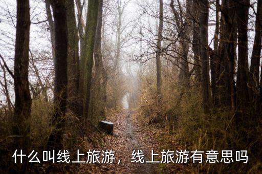 什么叫線上旅游，線上旅游有意思嗎