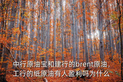 中行原油寶和建行的brent原油，工行的紙原油有人盈利嗎為什么