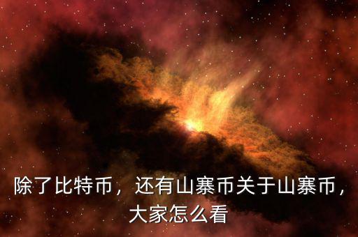 除了比特幣，還有山寨幣關于山寨幣，大家怎么看