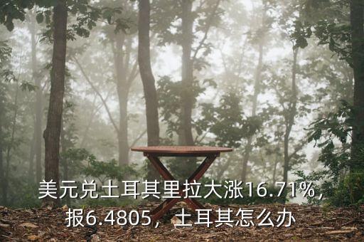 美元兌土耳其里拉大漲16.71%，報6.4805，土耳其怎么辦