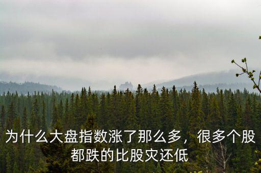 為什么大盤指數(shù)漲了那么多，很多個股都跌的比股災(zāi)還低