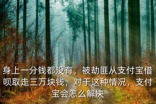 身上一分錢(qián)都沒(méi)有，被劫匪從支付寶借唄取走三萬(wàn)塊錢(qián)，對(duì)于這種情況，支付寶會(huì)怎么解決