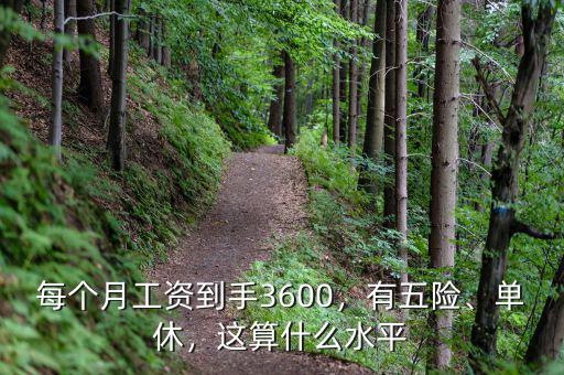 每個月工資到手3600，有五險、單休，這算什么水平