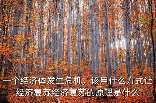 一個經(jīng)濟(jì)體發(fā)生危機(jī)，該用什么方式讓經(jīng)濟(jì)復(fù)蘇經(jīng)濟(jì)復(fù)蘇的原理是什么