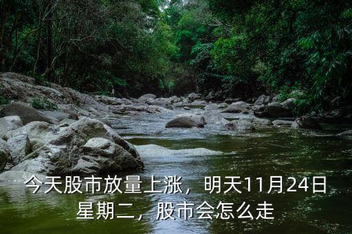 今天股市放量上漲，明天11月24日星期二，股市會(huì)怎么走