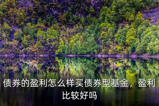 債券的盈利怎么樣買(mǎi)債券型基金，盈利比較好嗎