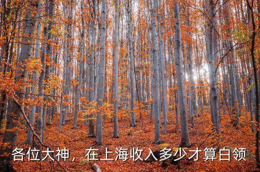 各位大神，在上海收入多少才算白領(lǐng)