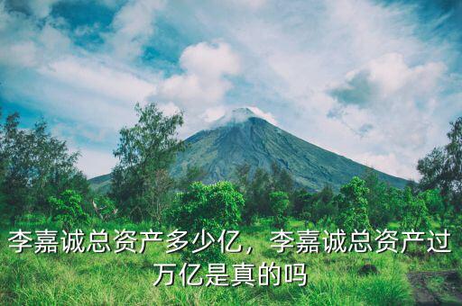 李嘉誠總資產(chǎn)多少億，李嘉誠總資產(chǎn)過萬億是真的嗎