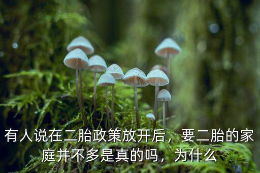 有人說在二胎政策放開后，要二胎的家庭并不多是真的嗎，為什么