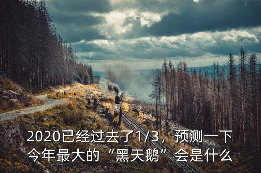 2020已經過去了1/3，預測一下今年最大的“黑天鵝”會是什么