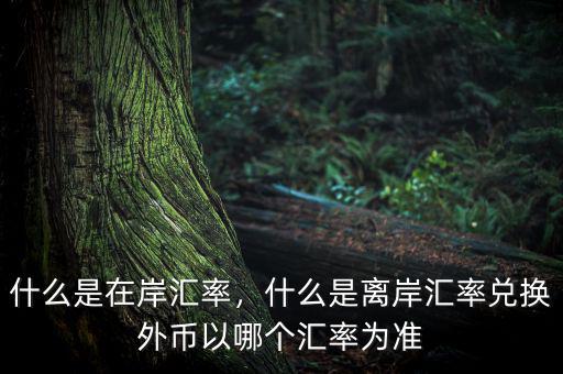 什么是在岸匯率，什么是離岸匯率兌換外幣以哪個匯率為準