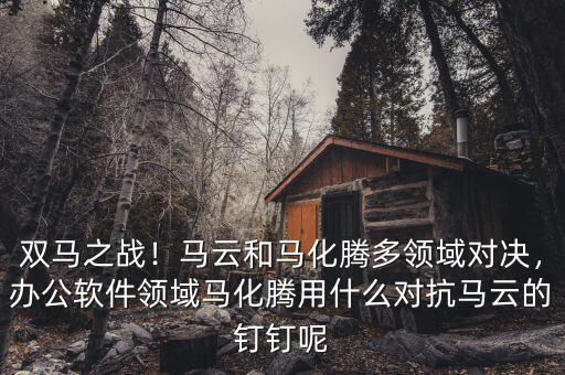 雙馬之戰(zhàn)！馬云和馬化騰多領(lǐng)域?qū)Q，辦公軟件領(lǐng)域馬化騰用什么對(duì)抗馬云的釘釘呢