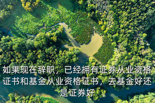 如果現(xiàn)在辭職，已經(jīng)擁有證券從業(yè)資格證書和基金從業(yè)資格證書，去基金好還是證券好